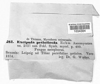 Image Associated With the Occurence